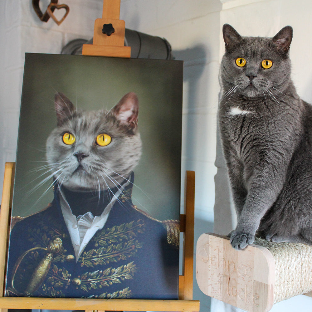 Der General - Personalisiertes Katzen Tier-Portrait auf Leinwand