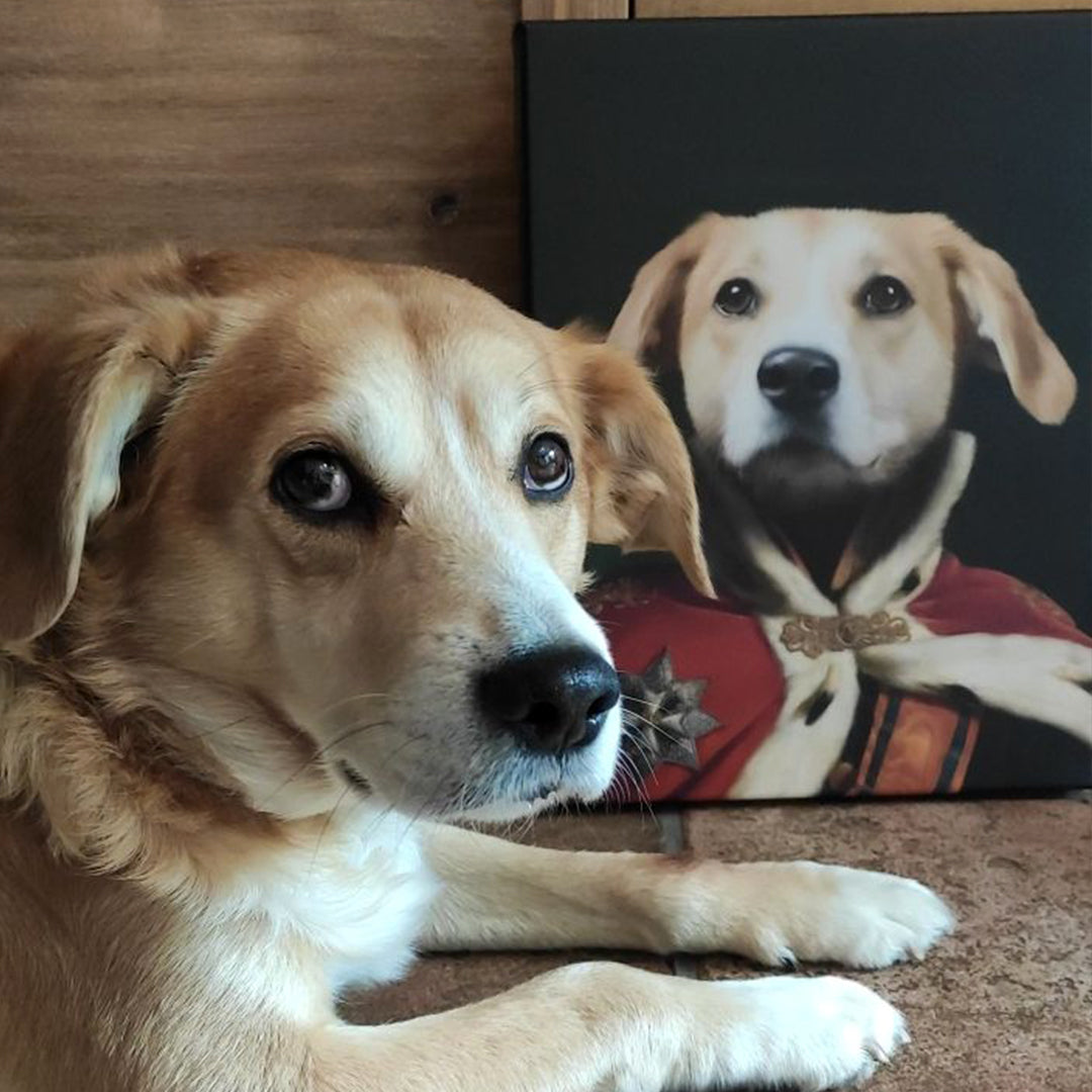Der König - Personalisiertes Hunde Tier-Portrait auf Leinwand